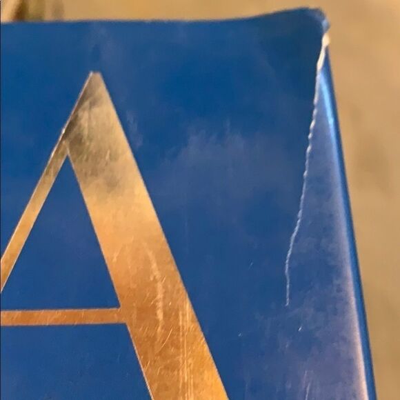 Diana Queen of Style by Jackie Moldinger - Picture 8 of 9